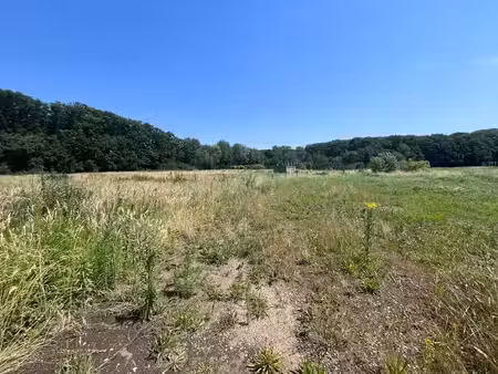 mooie bouwgrond met prachtig uitzicht op weides  agrarisc...