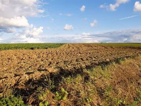 terrain à vendre à jauche € 43.420 (lq43a) - comptoir foncier | zimmo