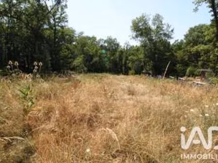 vente terrain à montdurausse (81630) : à vendre / 14982m² montdurausse