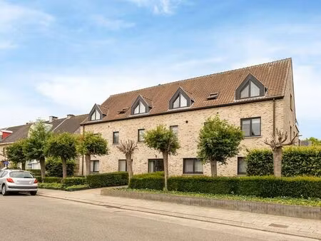 appartement à vendre à borsbeek € 249.000 (lq4wk) - sinjoor noord | zimmo