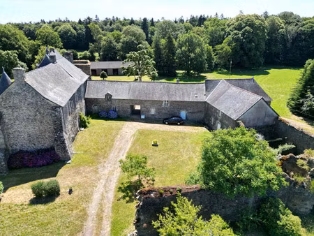 vente commerce 10 pièces 600 m² ploërmel (56800)