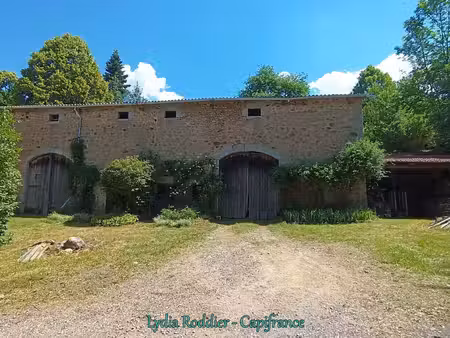 fermette 10 pièces - grande grange - rare à saint victor montvianeix (63550) en auvergne-r