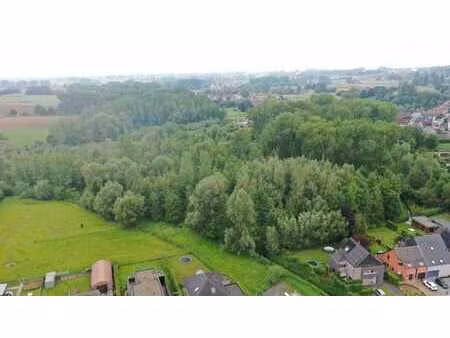 forêt de 11 200 m² à denderhoutem (haaltert)