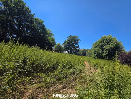 hausgauen : terrain de 11 ares 94