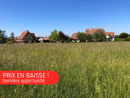 terrain à bâtir de 1 253 m² – un cadre de vie privilégié entre phalsbourg et diemeringen