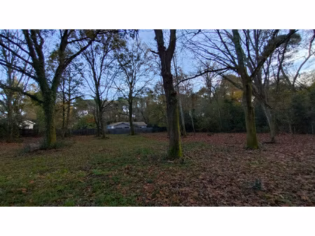 terrain a vendre