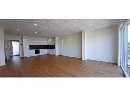 appartement 1 ch à ans - lumineux et moderne +/- 70 m²