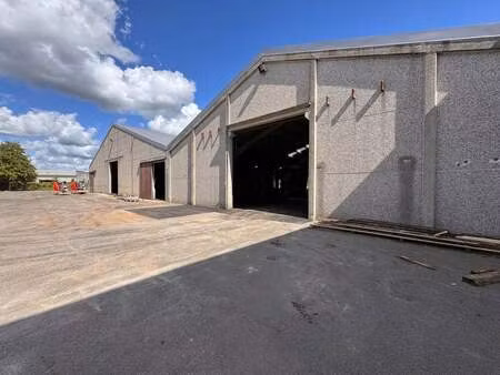 bien professionnel à louer à zwevezele € 2.338 (lq556) - formaadt | zimmo