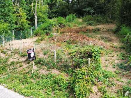 terrain