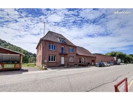 immeuble 468 m² philippsbourg