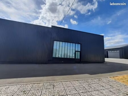 local professionnel 150 m²