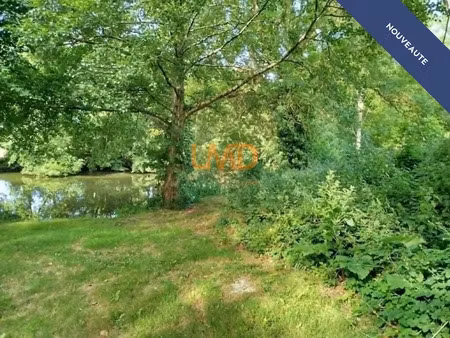 vente terrain 5297 m² à martizay (36220)  11 500 €