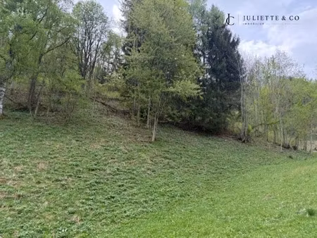 vente terrain 1306 m² à chamonix-mont-blanc (74400)  26 120 €
