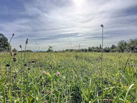 vente terrain à batir 1500 m² à galan (65330)  22 000 €