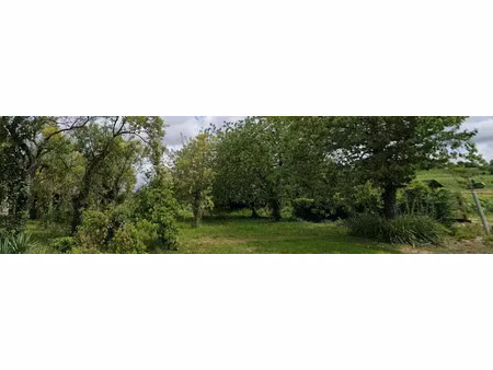 vente terrain à batir 383 m² à montigny-sur-vesle (51140)  40 000 €