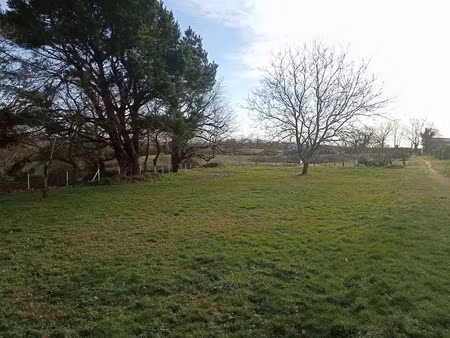 vente terrain 600 m² à montfaucon-montigné (49230)  45 000 €