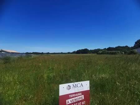 vente terrain 955 m² à saint-pardon-de-conques (33210)  67 000 €