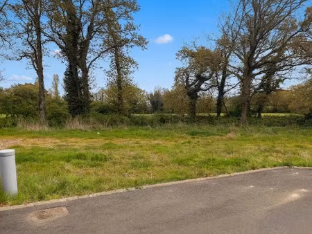 vente terrain 317 m² à saint-père-en-retz (44320)  68 900 €