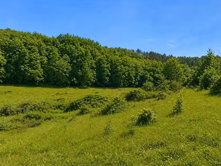 vente terrain 1600 m² à trélissac (24750)  70 000 €
