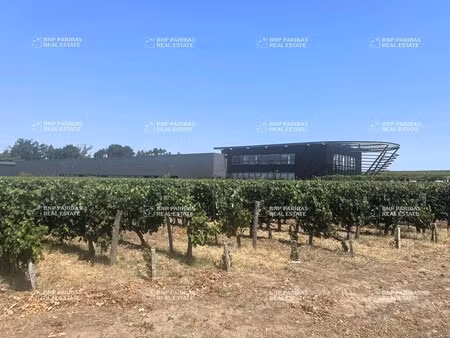 vente local d’activités saint-émilion 33330 3200m²
