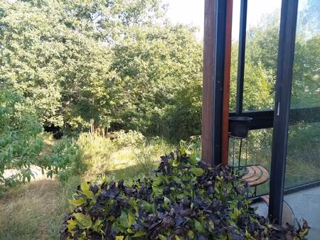 montesquieu volvestre  maison avec jardin et garage