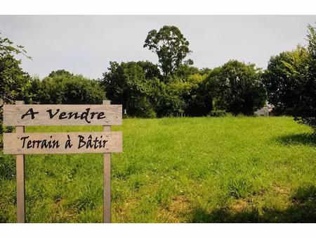 vente terrain à batir 15930 m² à saint-vincent-de-paul (33440)  1 660 000 €