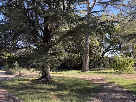 vente terrain 972 m² à alleins (13980)  236 500 €
