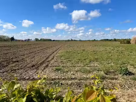 vente terrain 1000 m² à locon (62400)  85 000 €