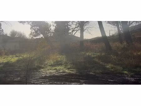 vente terrain 1018 m² à tresses (33370)  210 000 €