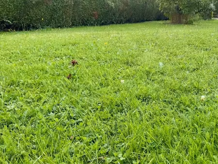 vente terrain 650 m² à houlbec-cocherel (27120)  82 000 €
