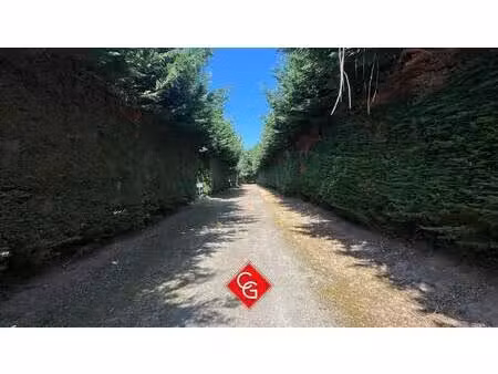 terrain constructible viabilisé à vendre