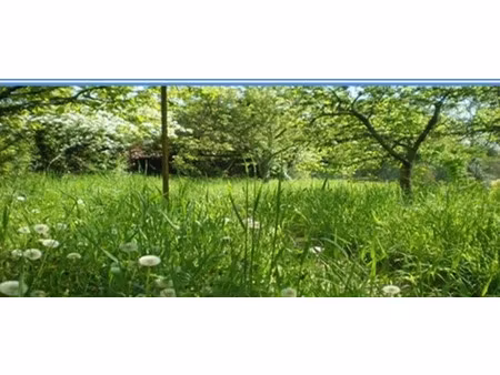 vente terrain 409 m² à saintry-sur-seine (91250)  154 000 €
