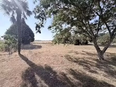 vente terrain 1000 m² à saint-lys (31470)  139 000 €
