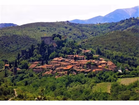 vente terrain 1466 m² à castelnou (66300)  225 000 €