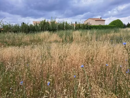 vente terrain 305 m² à lambesc (13410)  190 000 €
