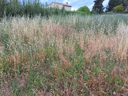 vente terrain 330 m² à lambesc (13410)  215 000 €