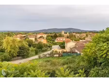 vente terrain à batir 1601 m² à morancé (69480)  300 000 €