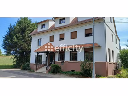 vente locaux professionnels 200 m² à drachenbronn-birlenbach (67160)  77 000 €