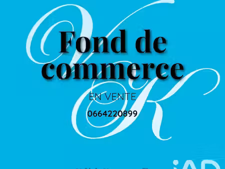vente locaux professionnels 0 pièces 254 m² à josnes (41370)  44 980 €