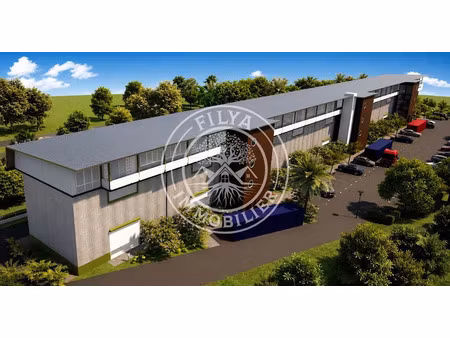 vente locaux professionnels 0 pièces 142.86 m² à cayenne (97300)  420 008 €