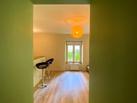 appartement 42m2 rénové avec terrasse