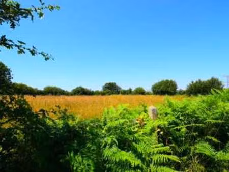 vente terrain à cerisy-la-salle (50210) : à vendre / 18811m² cerisy-la-salle