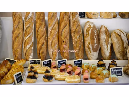 vente locaux professionnels 5 pièces 250 m² à cagnes-sur-mer (06800)  830 000 €