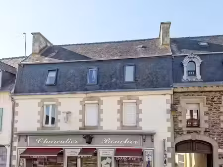 vente immeuble 0 pièces 254 m² à plestin-les-greves (22310)  450 000 €