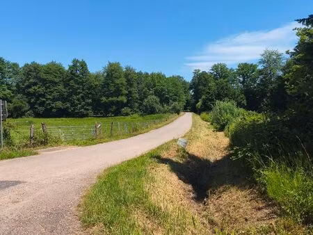 terrain agricole