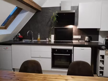 location meublée appartement 3 pièces 47 m² à mulhouse (68100)  610 €