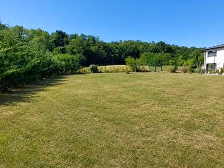 terrain