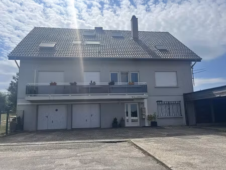 location appartement 2 pièces 36.9 m² à sarrebourg (57400)  420 €