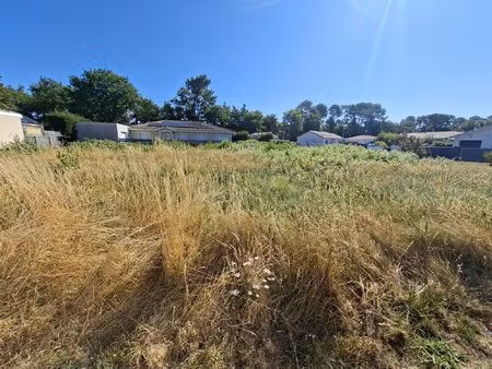 terrain constructible