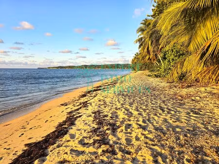 charmant studio meublé à grand-bourg avec accès direct plage